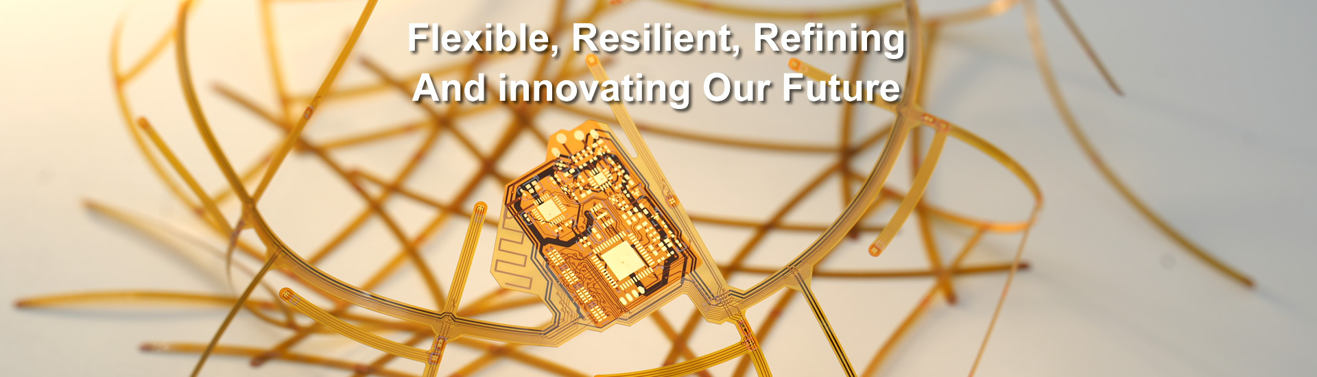 Suiwa High Technology Electronic Industries FPC & FPCA Manufacturer